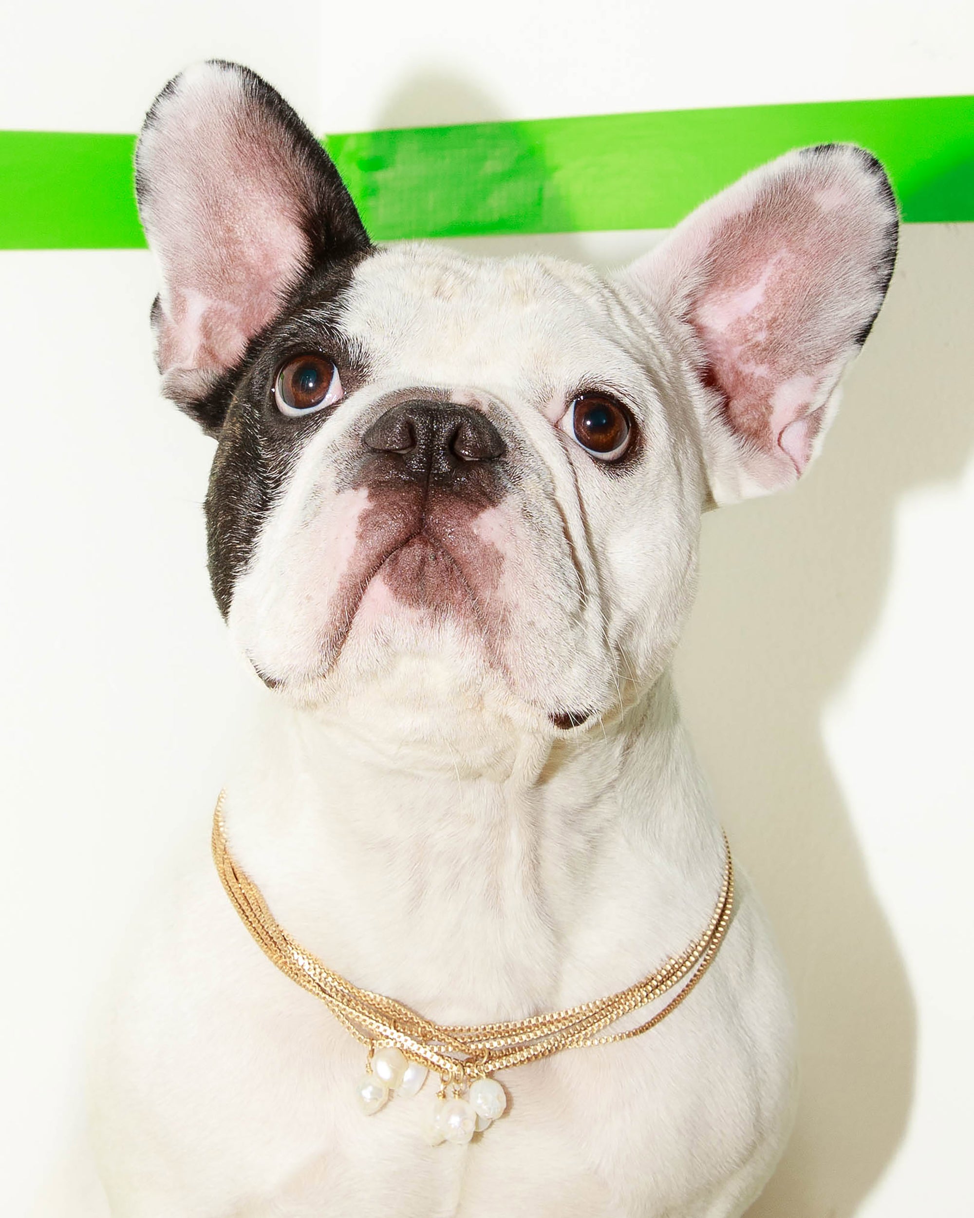 Pearl Skull Necklace – Rowena Social Club - Main Image